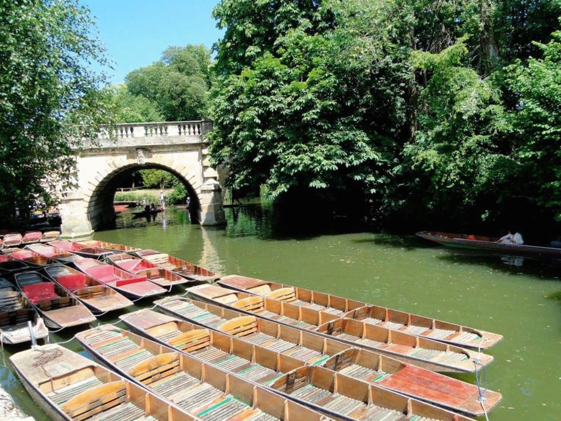 Many wooden punts docked on a river with a stone arch bridge and lush green trees.