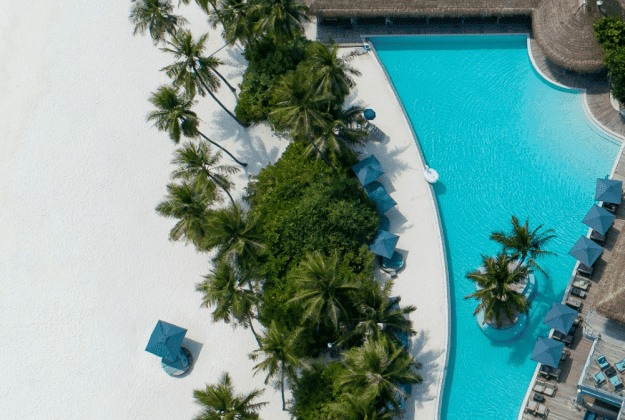 Content Image
