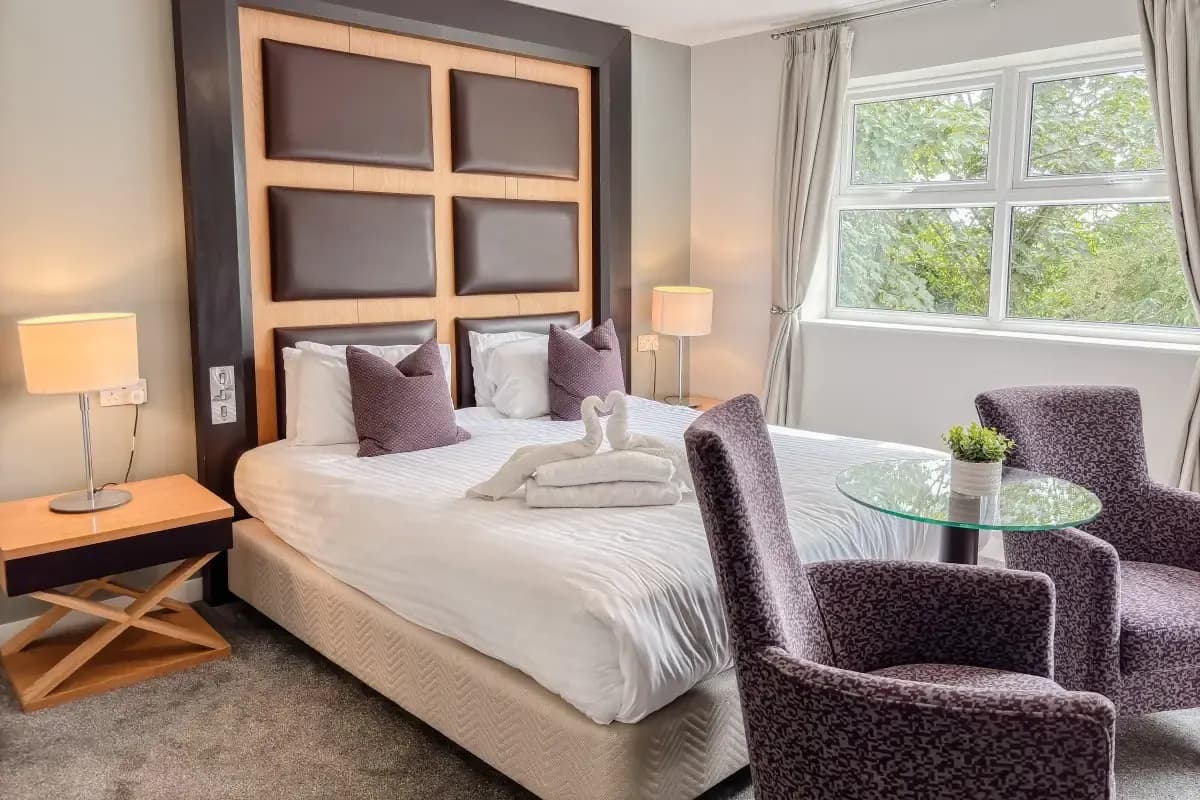 Hotel room with a large bed, purple armchairs, a glass table, and a window overlooking trees
